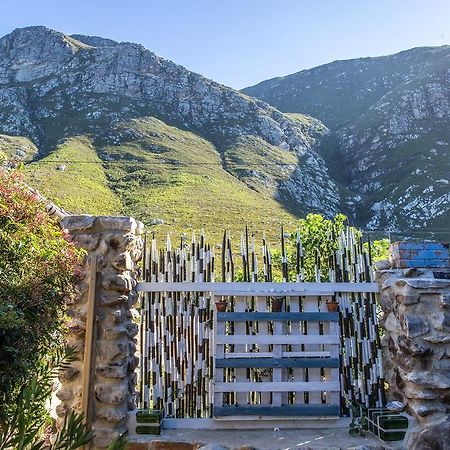 The Trailhouse Hotel Bettyʼs Bay Kültér fotó